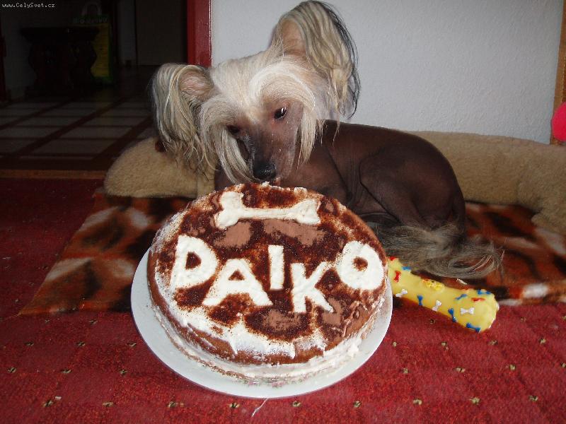 Foto: Miluji tvarohov� dort