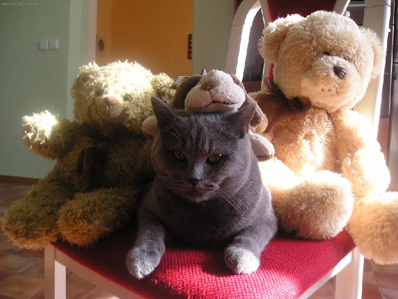 Foto: Kv�dou�eK-N�e miminko :)