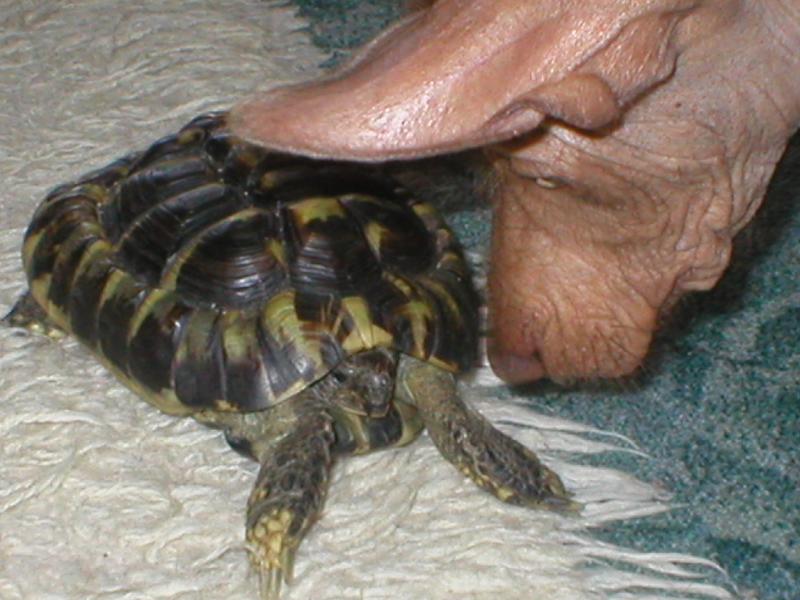 Foto: Co to je???-Jed�k a Julek p�i prvn�m setk�n�