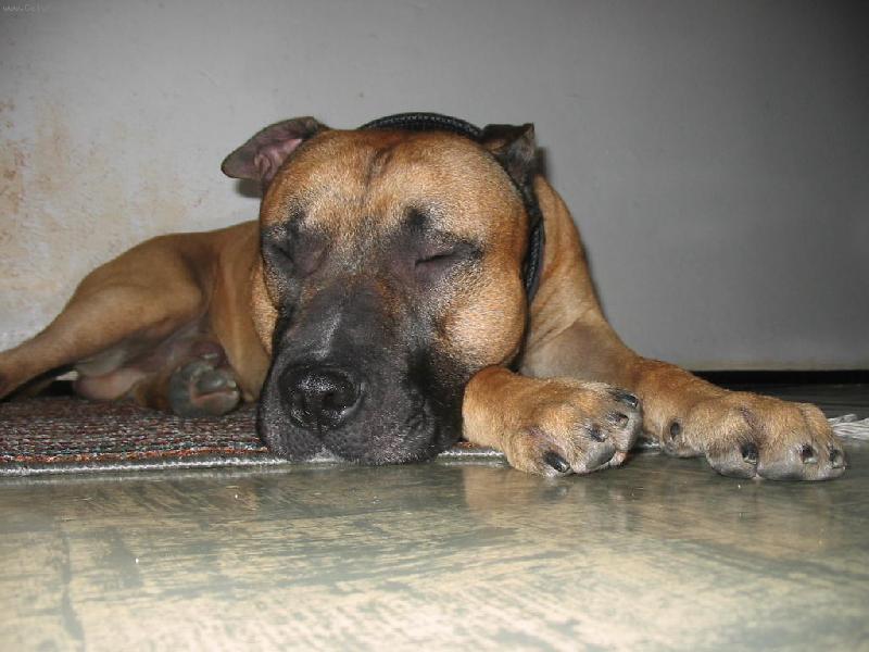 Foto: Montany-Mont�sek kdy� spink�