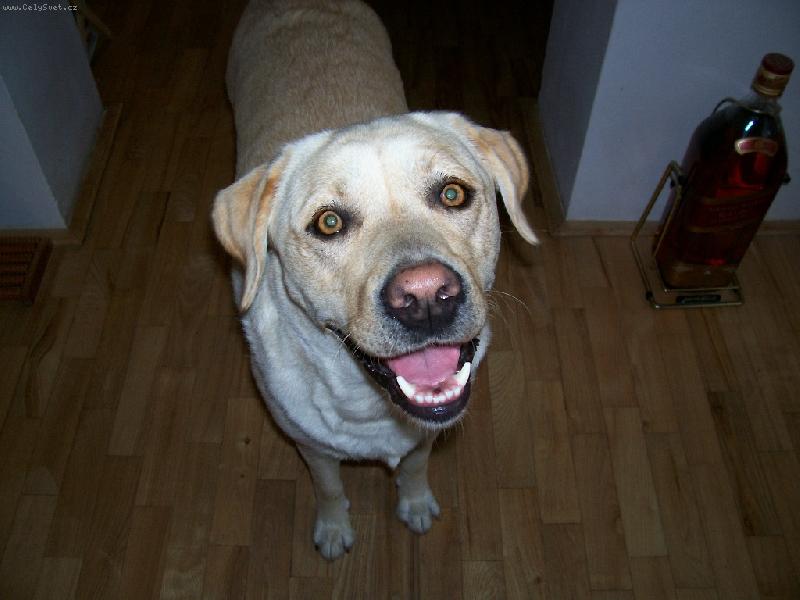 Foto: l�-l�-l�