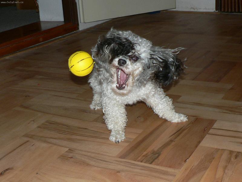 Foto: N� Kim-Hra s m��em