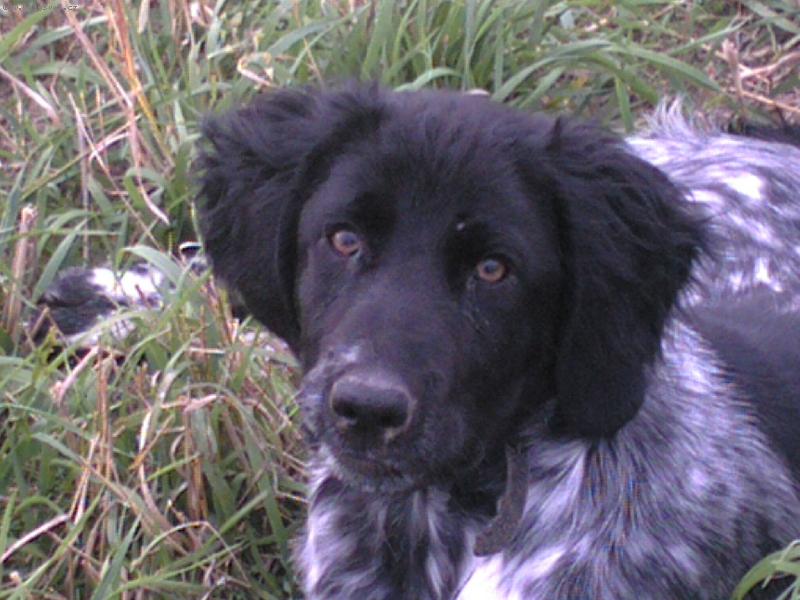 Foto: N�ouma-Le��c� Riko