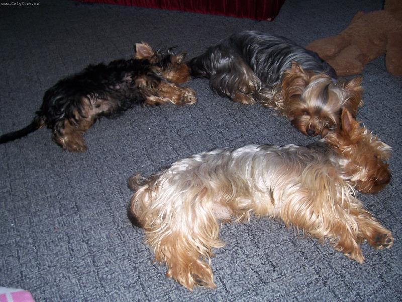 Foto: Takhle kr�sn� se um�me se�adit-Vy��zen� po proch�zce