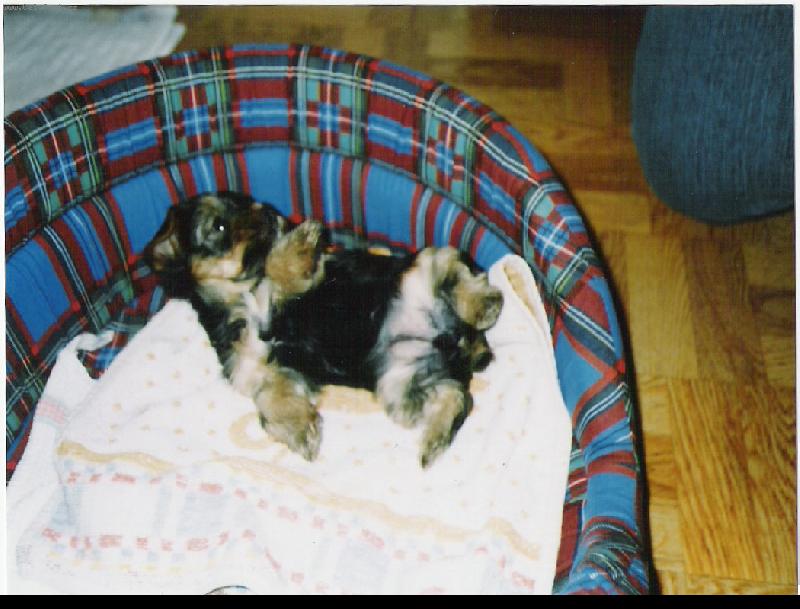 Foto: sendy-je�t� malink� si veleb�m v pel�ku