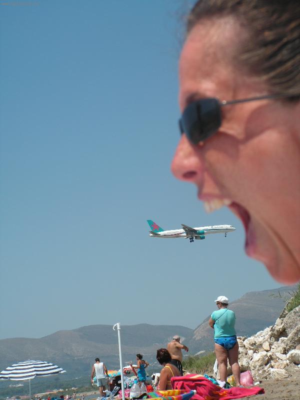 Foto: Velk� hlad-Focen� na pl�i ostrova Zakynthos