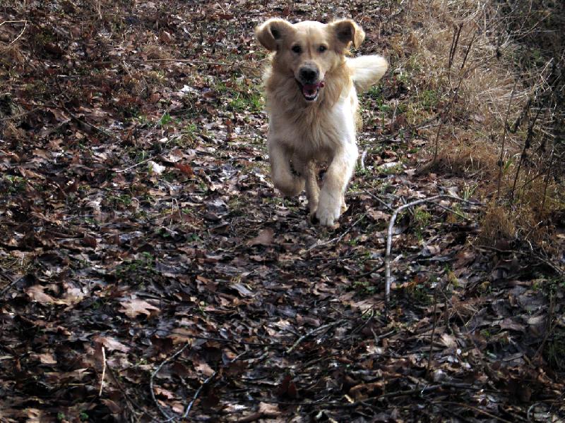 Foto: U�iska-U� b��m......