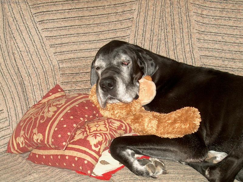 Foto: Pozor,kouk�m na v�s z ps�ho nebe-Velik� �nava