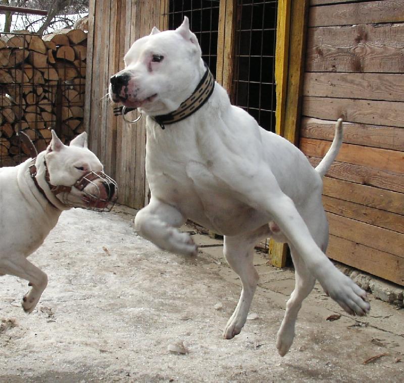 Foto: J� t� tak miluju :-)))-P�ijela nev�sta na kryt�