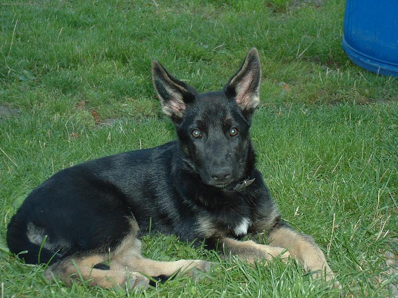 Foto: Ashanty z Borkova ml�na-M�m se usm�vat nebo ne?