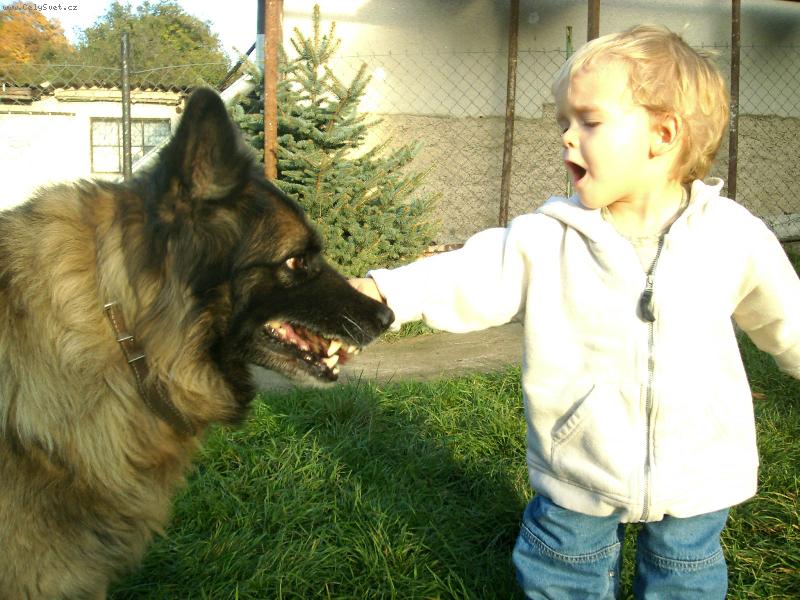 Foto: Kamar�di-Ta kytka co mi d�v� ale fakt nen� dobr�!