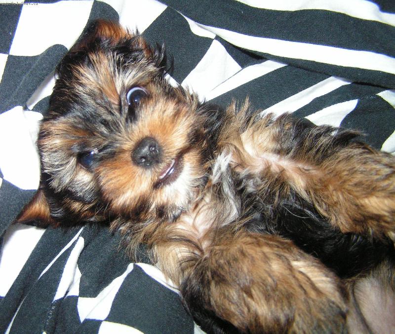 Foto: Jessinka-J� jako mim�o, byla jsem p�kn� raub��!