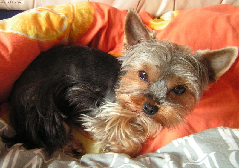 Foto: Jessinka-To mi jde nejl�p