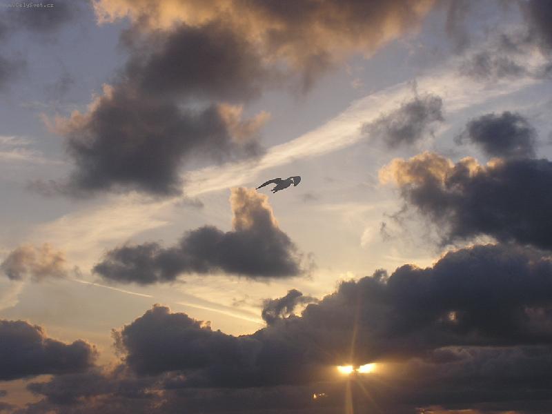 Foto: Obloha u b�eh� Velk� Brit�nie-Olympus C-740 Ultra Zoom