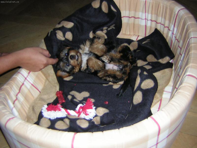 Foto: Zubidlo zlobidlo!-Se ze m� m��ete zbl�znit,�e?