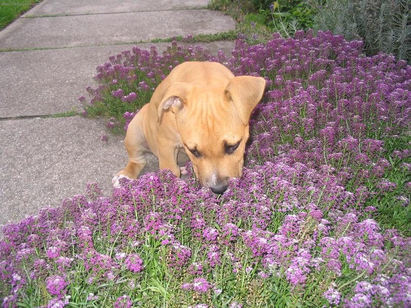 Foto: J�����  ta von�