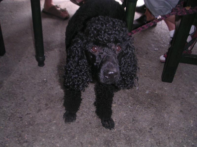 Foto: Ben�k-Ach jo...Pus� m� z toho vod�tka...