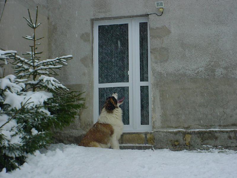 Foto: CHYT�N� SN�HOV�CH VLO�EK-MOSKEVSK� STR��N� PES