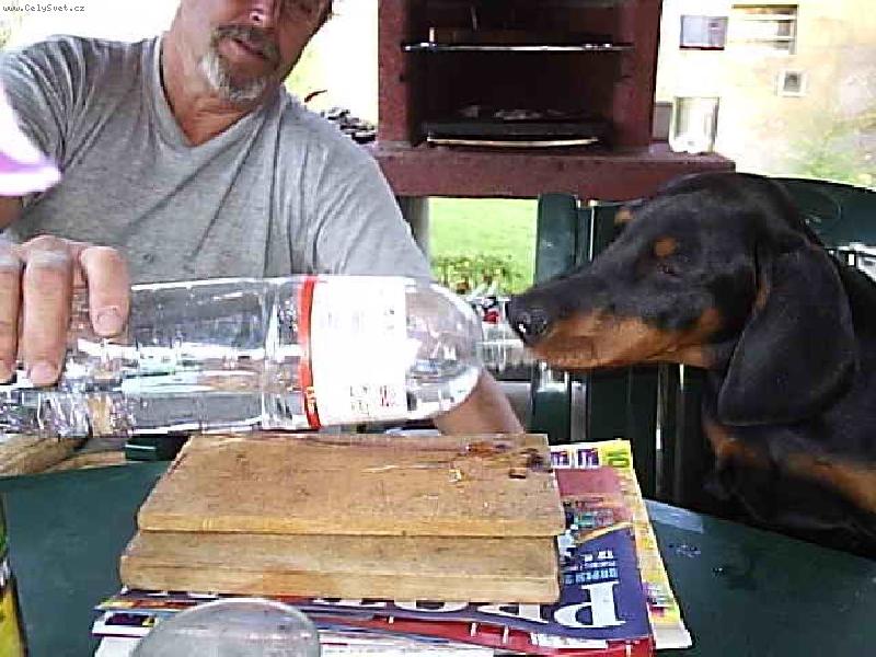 Foto: Na�e �t�st��ko Corinka-Uf to byla ��ze�....