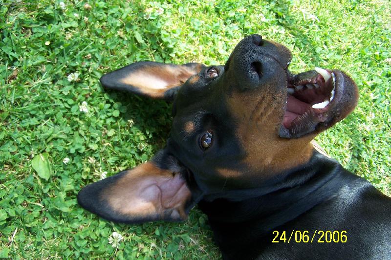 Foto: Corinka-Um�m se i zlobit!!!