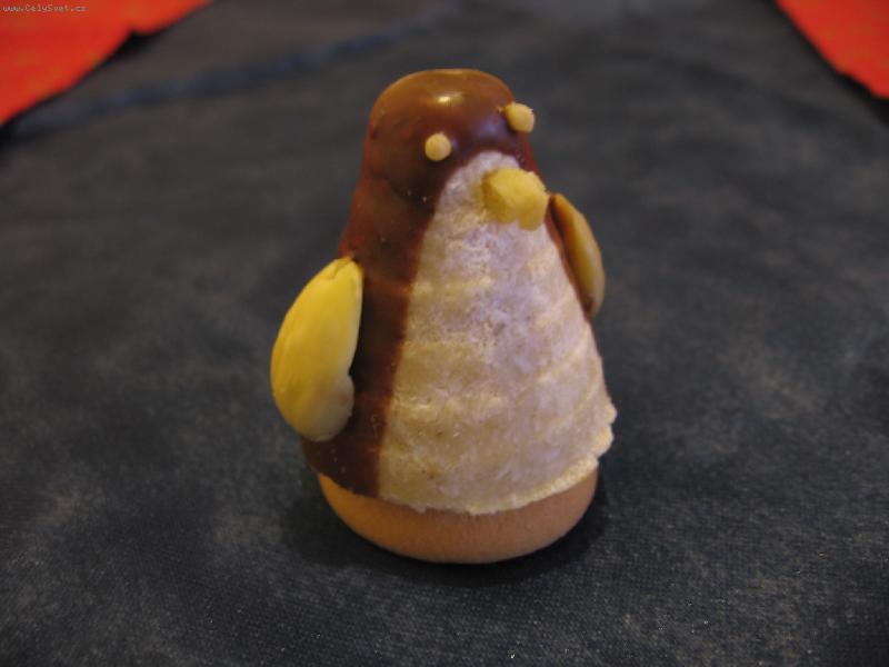 Foto: no nen� k se�r�n�???