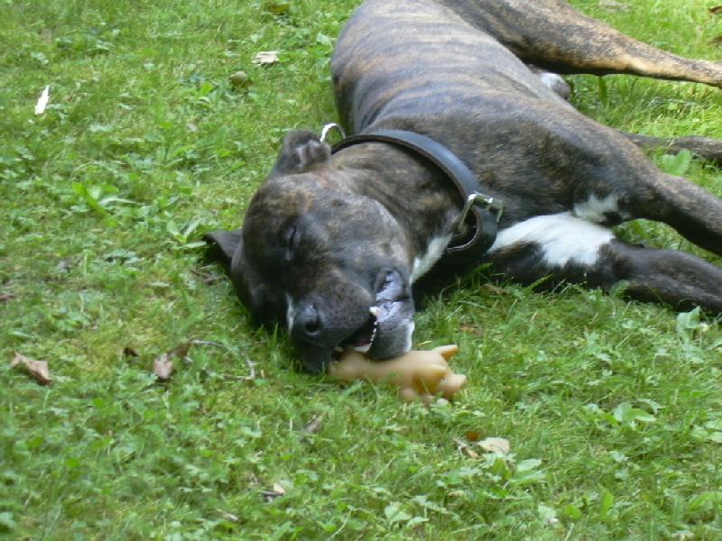 Foto: No tak sem usnul no-Tak dlouho jsme si hr�li, a� s hra�kou utekl a usnul