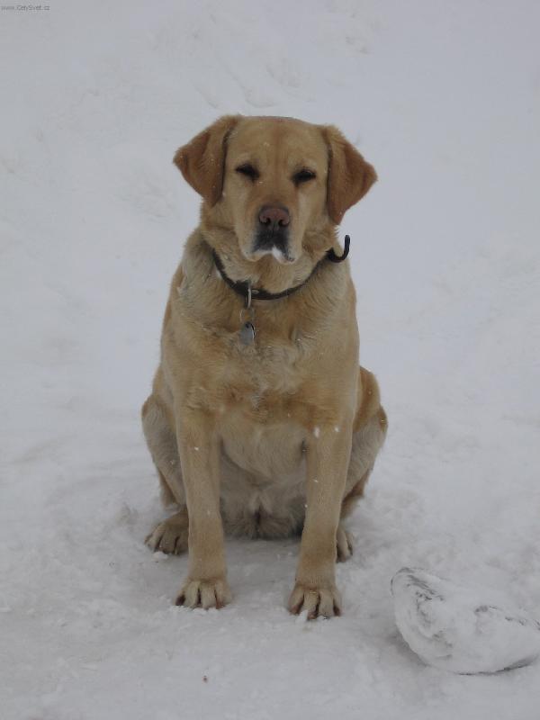 Foto: To je zima-N� mil��ek