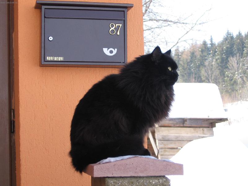 Foto: Mat�sek-Jedna z m�ch posledn�ch