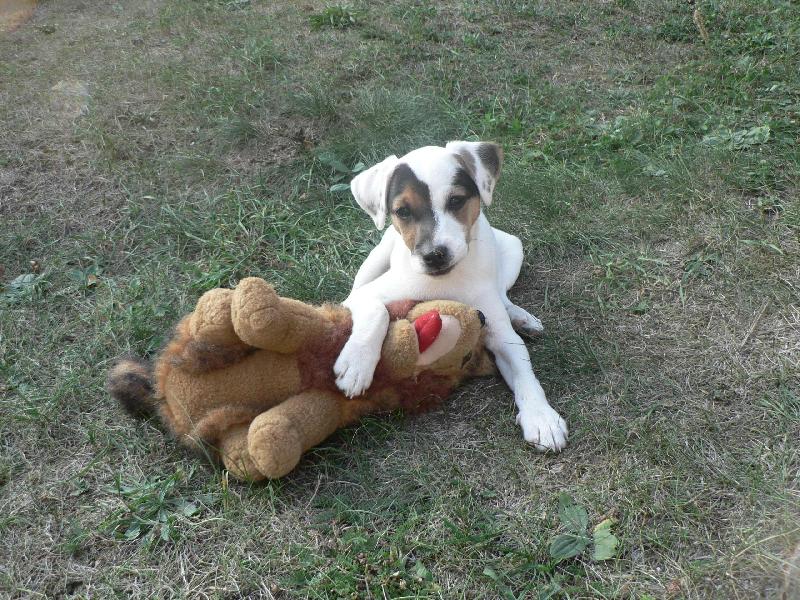 Foto: FATTY HOP TROP-FATTY se sv�m nejlep��m kamar�dem