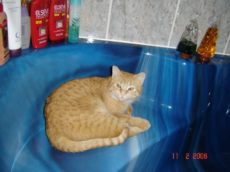 Foto: tak co bude stou vodou?-dnes asi nepote�e