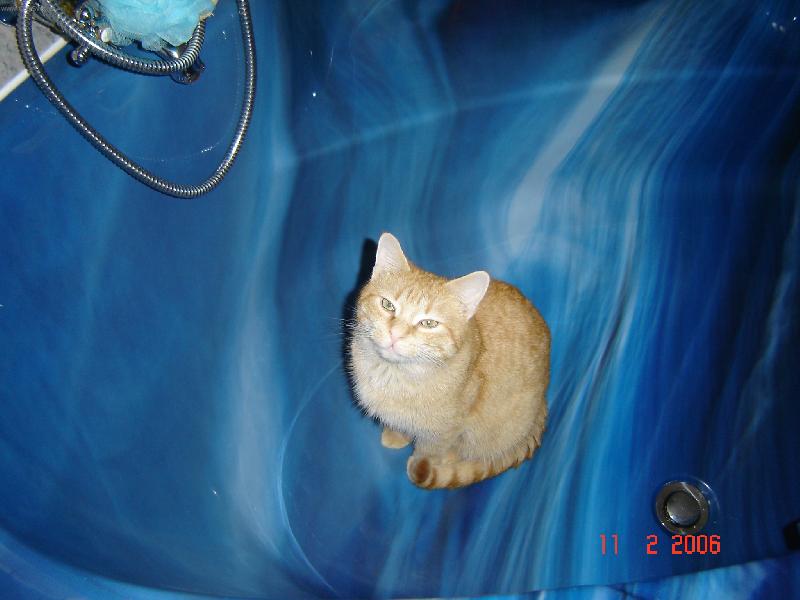 Foto: chci se vykoupat pros�m........