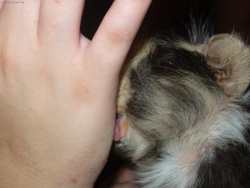 Foto: Mor�ec� kamar�d-M�j Teodorek