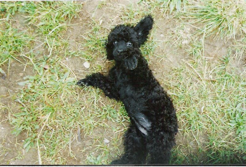 Foto: Zuzanka na z�dech-,,Vrr...poj� se pr�t!"