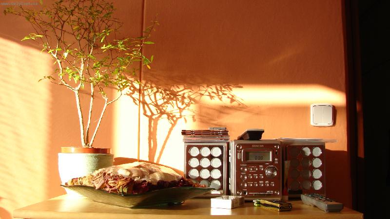 Foto: bez kytek v pokoji to prost� nejde-u kamar�da doma, �e to tam m� hezk�