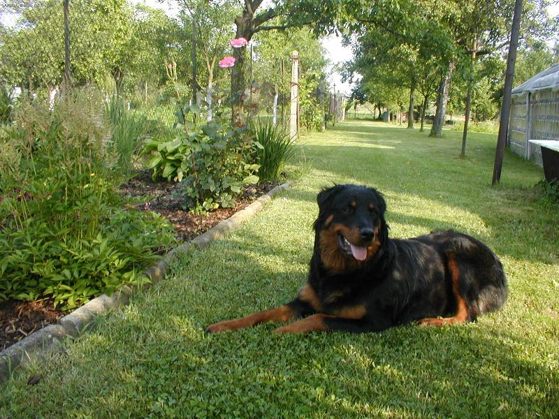 Foto: Sany-Sany - dcera Arga + Kory , jejich fotku taky pos�l�m