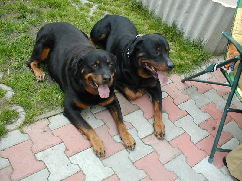 Foto: Argo + Kora-rodi�e Sany