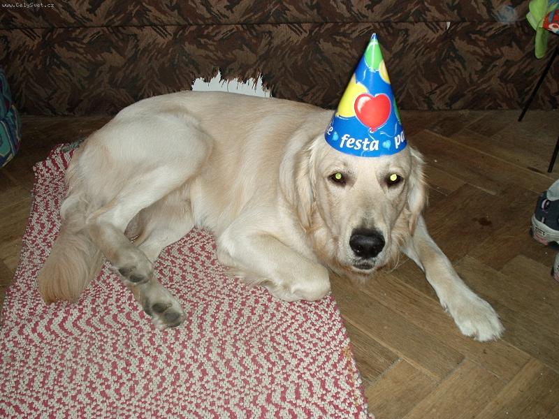 Foto: narozeniny (oslava m�ho prvn�ho roku)