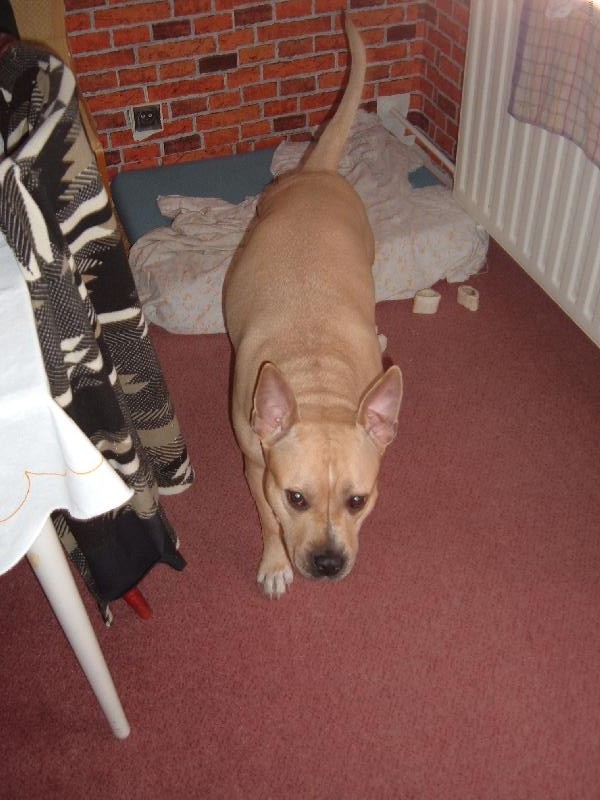 Foto: LI�KA BYSTROU�KA-B̎� LI�KA K T�BORU...