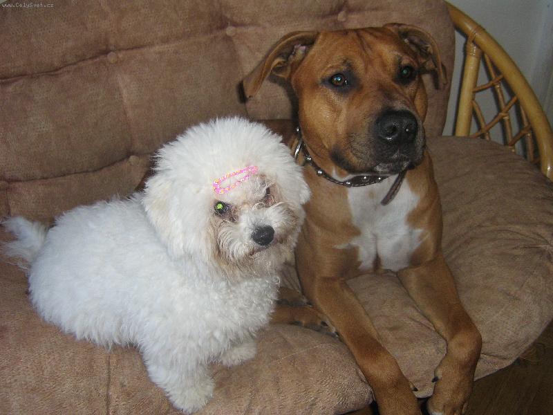 Foto: Shereenka se sv�m kamar�dem Argem-Jsou spolu opravdu ��astn�!