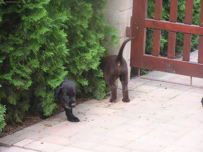 Foto: �����tko-Na�e zv�dav� �����tko un�s nazahrad�