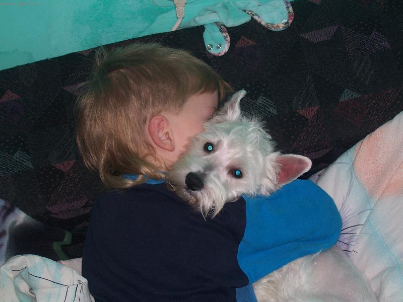 Foto: Poh�dka na dobrou noc...-Mop a Alex dobrou noc.