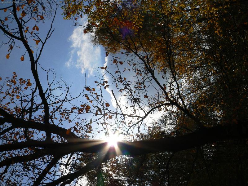 Foto: Podzim-Podzim na foce