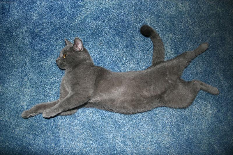 Foto: Tob��kovo leno�en�