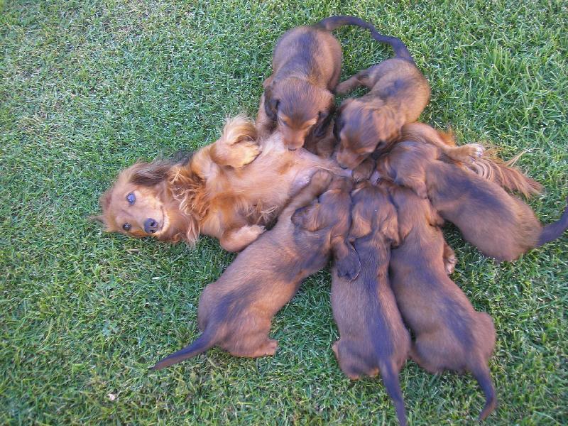 Foto: ham ham ham-honem a� n�m to nikdo nesn� a bacha a� tu m�mu nezalehnem!