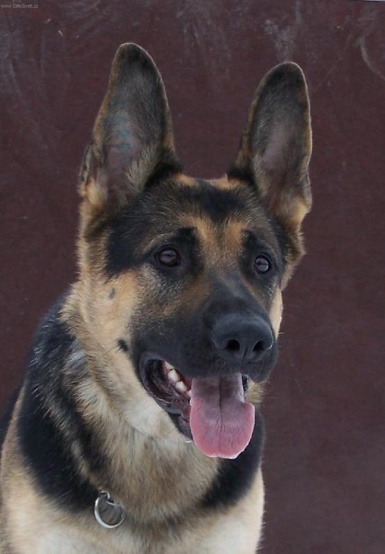 Foto: Hessy Bornek-Hessy Bornek