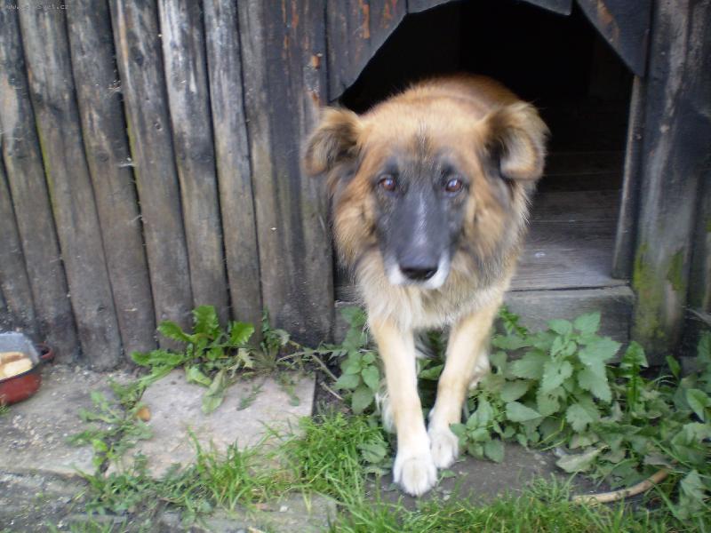 Foto: Dasty-Hrozn� nerad se fot�m!!!