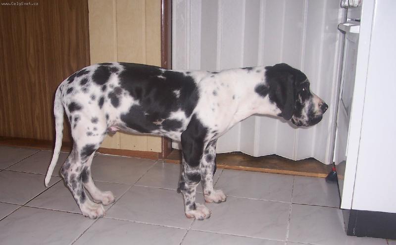 Foto: Tak� se tam vejdu?