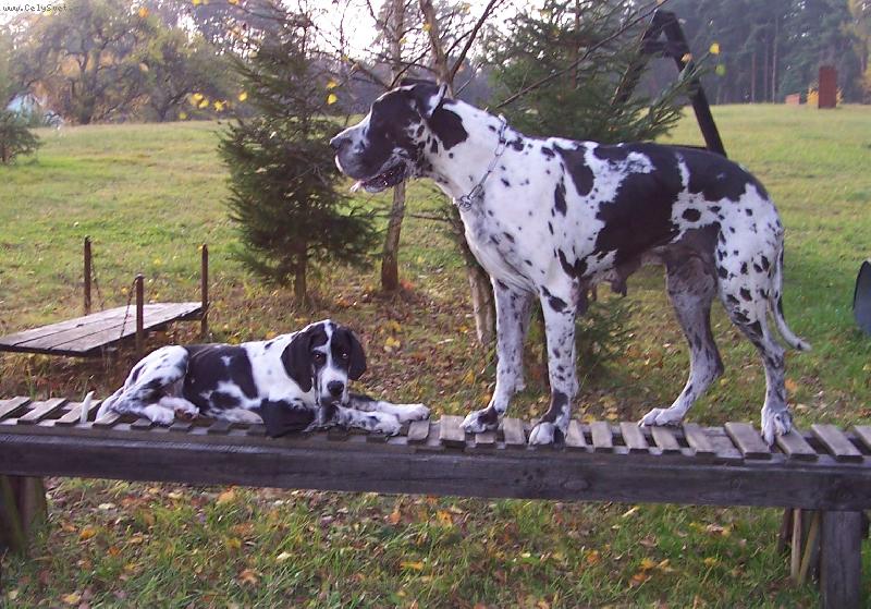 Foto: Mal� a velk�