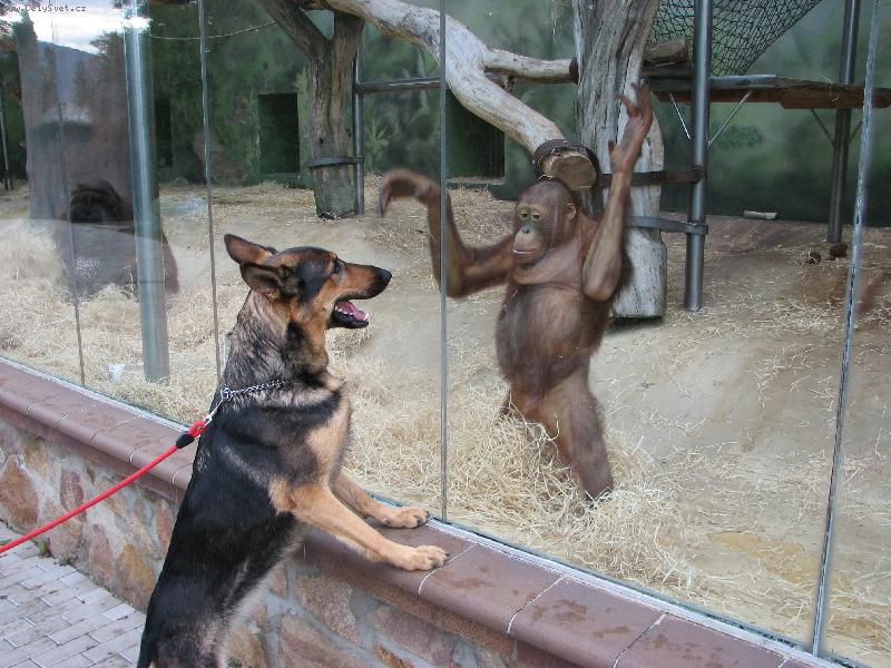 Foto: Bonita-Kdo z n�s je v�t��?