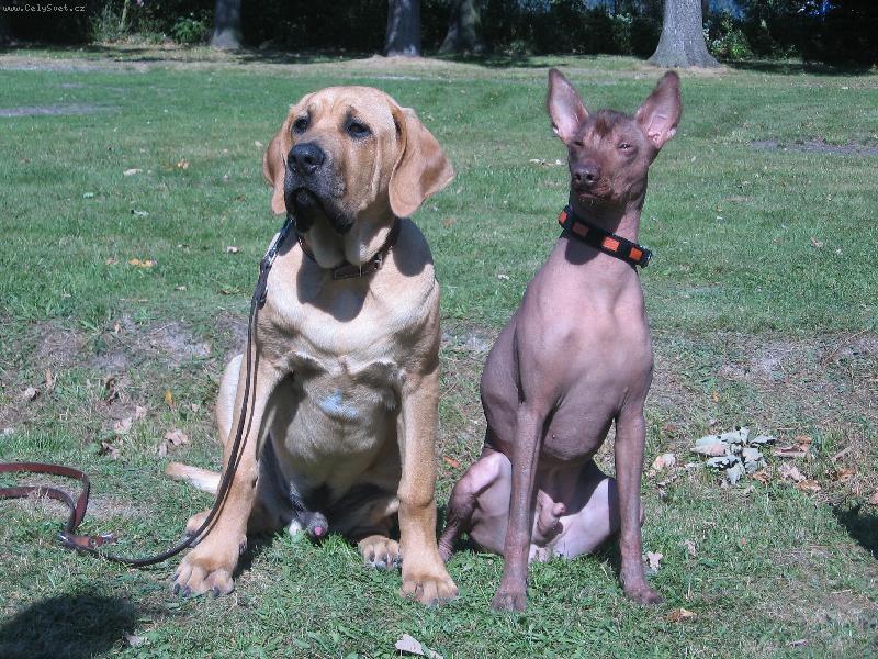 Foto: Herodesek a Jed�k-Kter�mu z n�s je 5 m�s�c�???